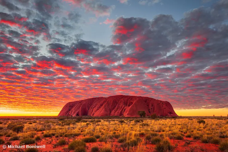 Punter's Almanac: Mapping the Aussie Sports Calendar for Maximum Betting Value